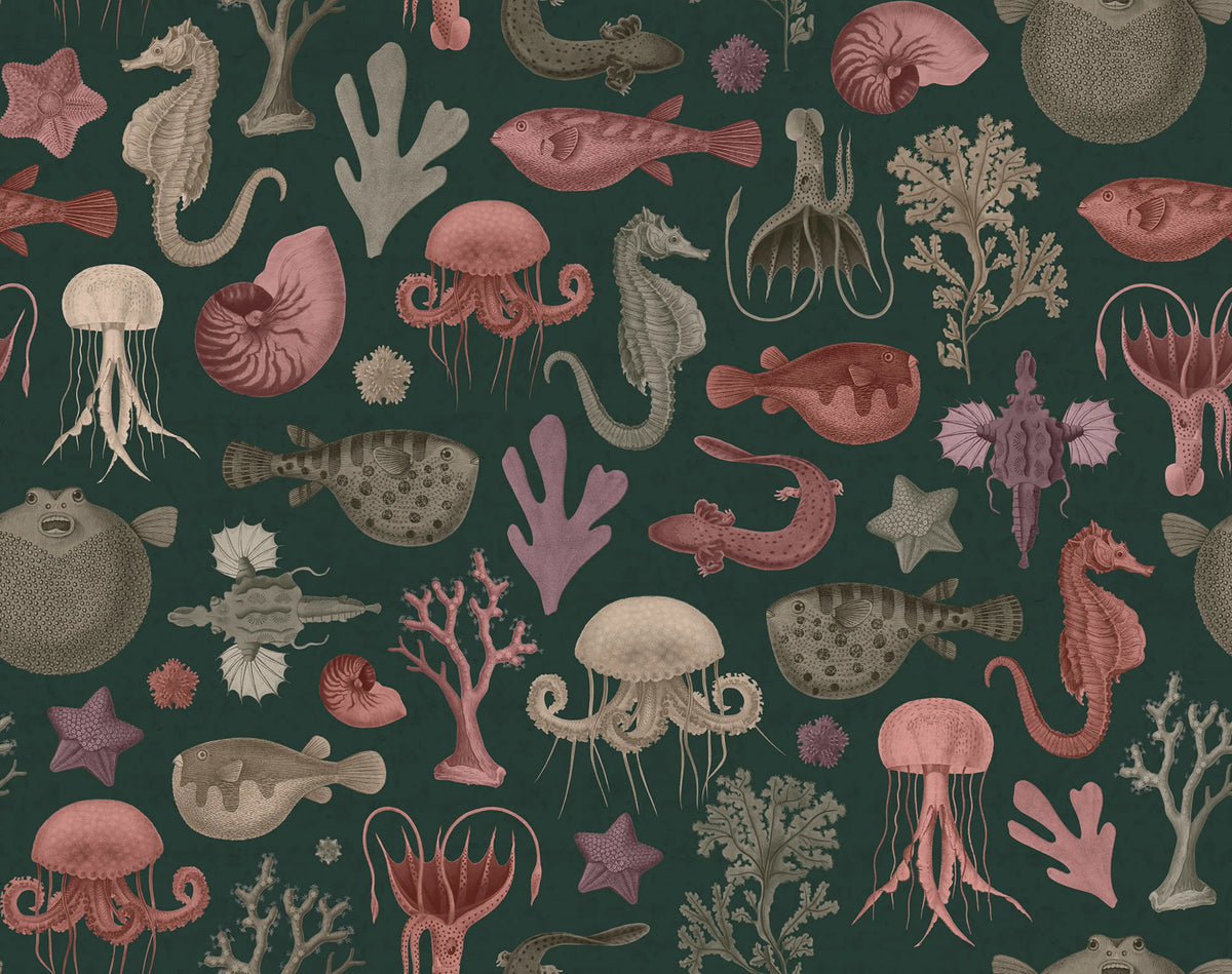 Sea Life, Ocean Mural Wallpaper - pure wallpaper artwork
