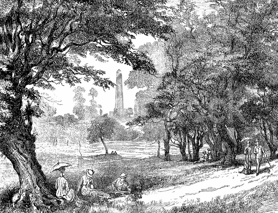 Big Toile Mural Wallpaper