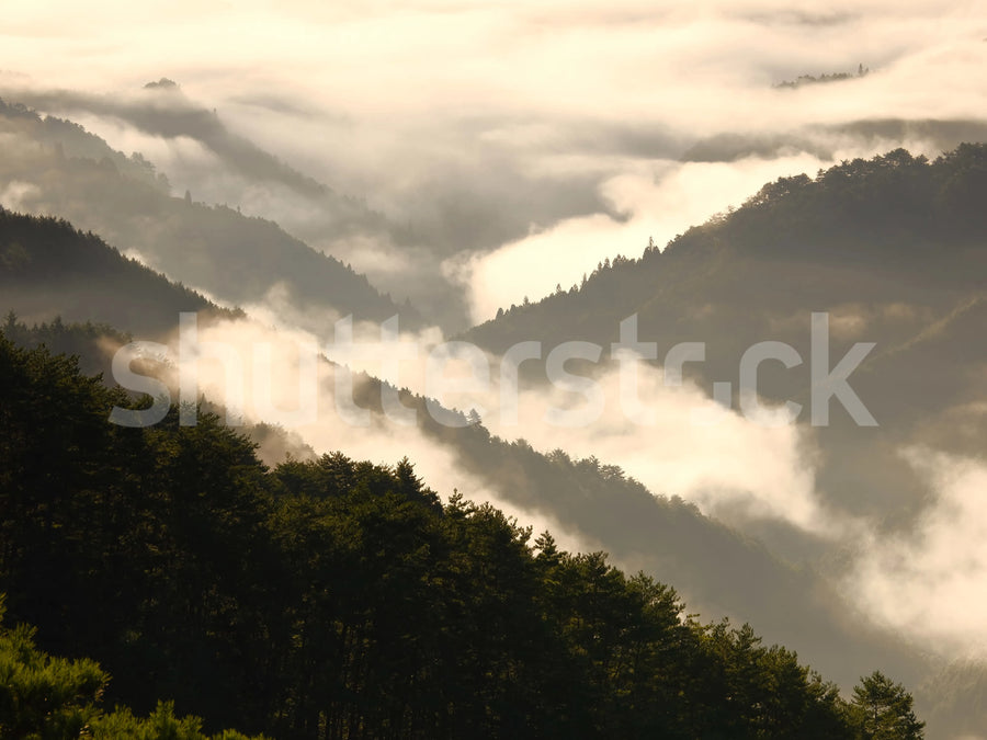 Mountain View Mural Wallpaper