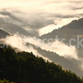 Mountain View Mural Wallpaper - pure wallpaper artwork