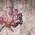 Vintage Tulip Mural Wallpaper - pure wallpaper artwork