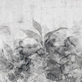Palm Leafs Mural Wallpaper - pure wallpaper artwork