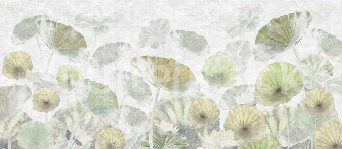 Waterlily Mural Wallpaper - pure wallpaper artwork