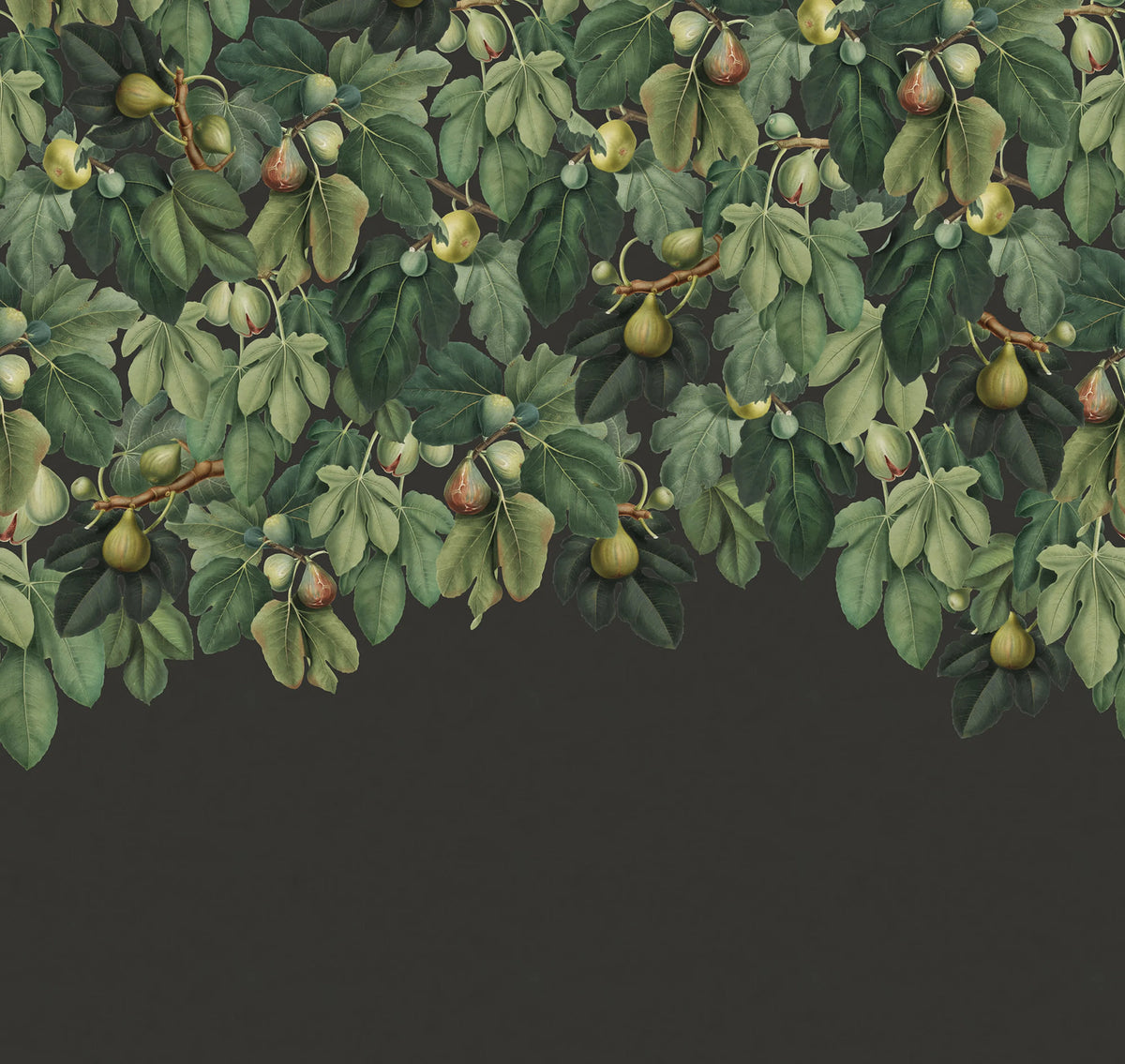 Dangling Figs, Lush Mural Wallpaper - pure wallpaper artwork