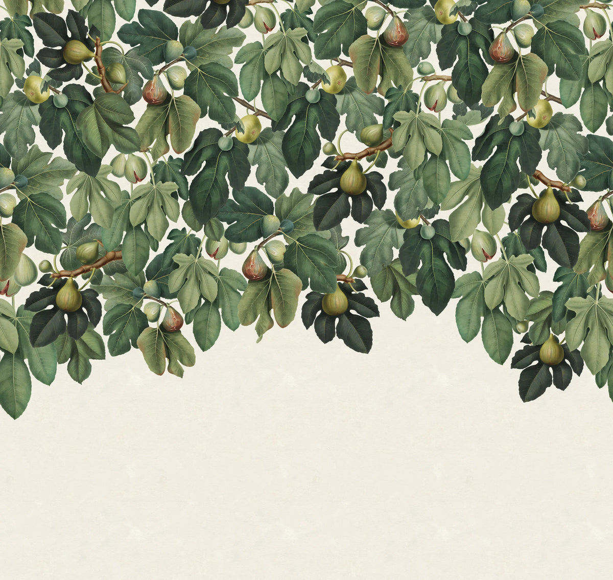 Dangling Figs, Green Mural Wallpaper - pure wallpaper artwork
