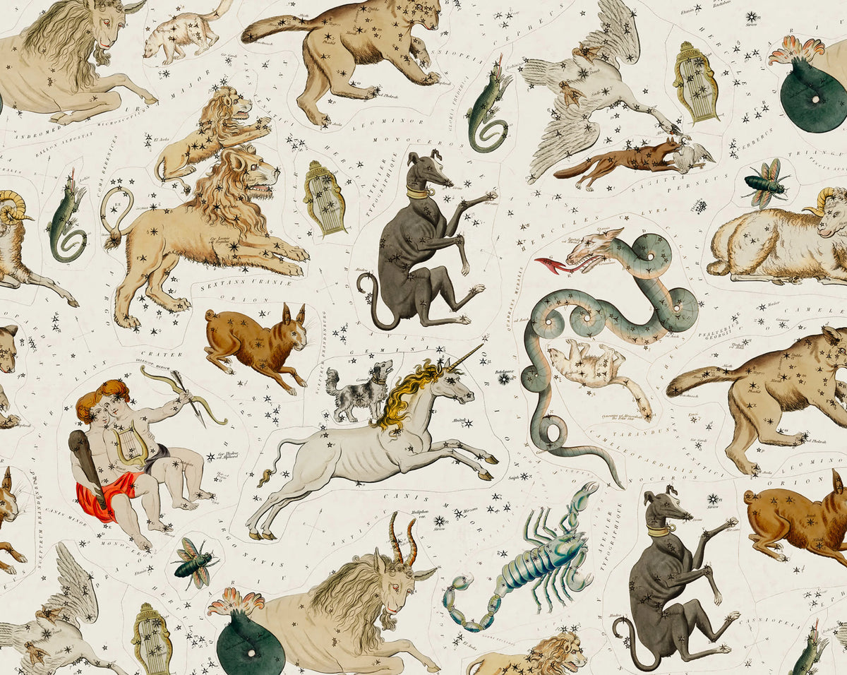 Zodiac, Day Mural Wallpaper - pure wallpaper artwork