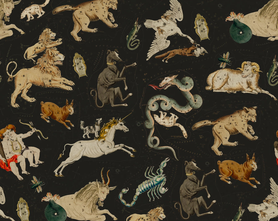 Zodiac, Night Mural Wallpaper
