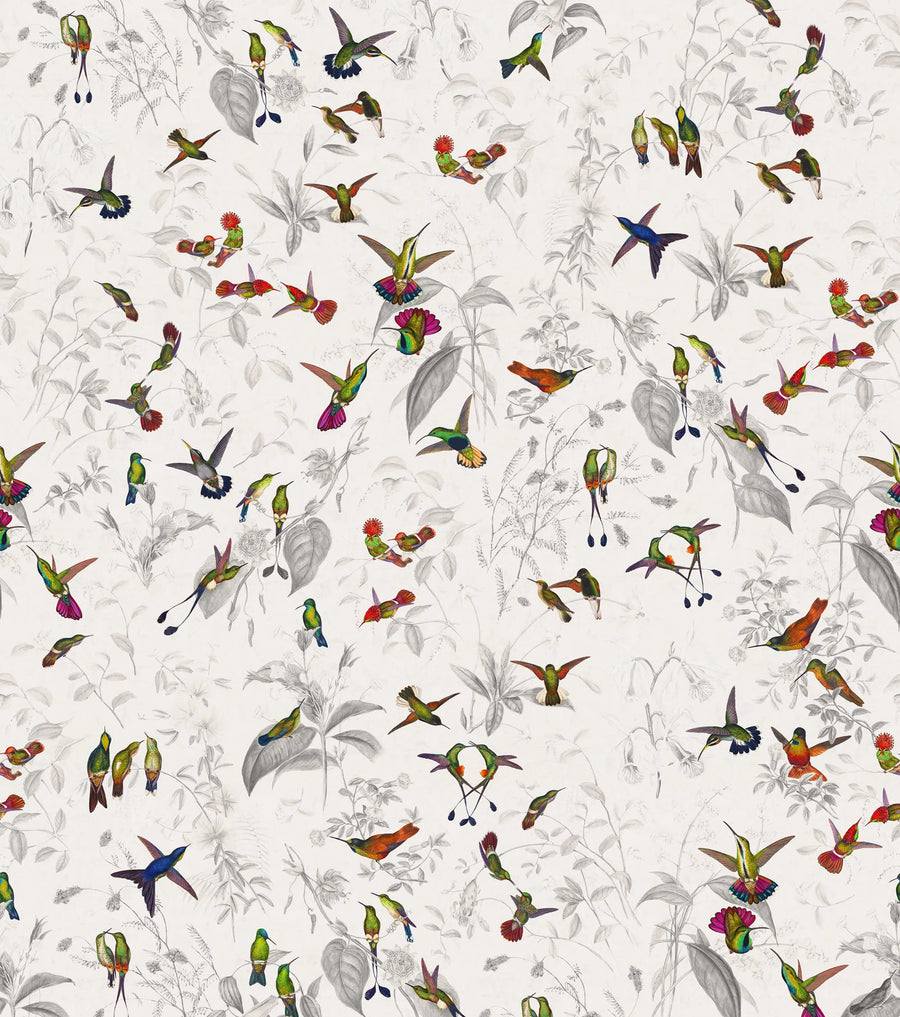 Hummingbird, Light Mural Wallpaper