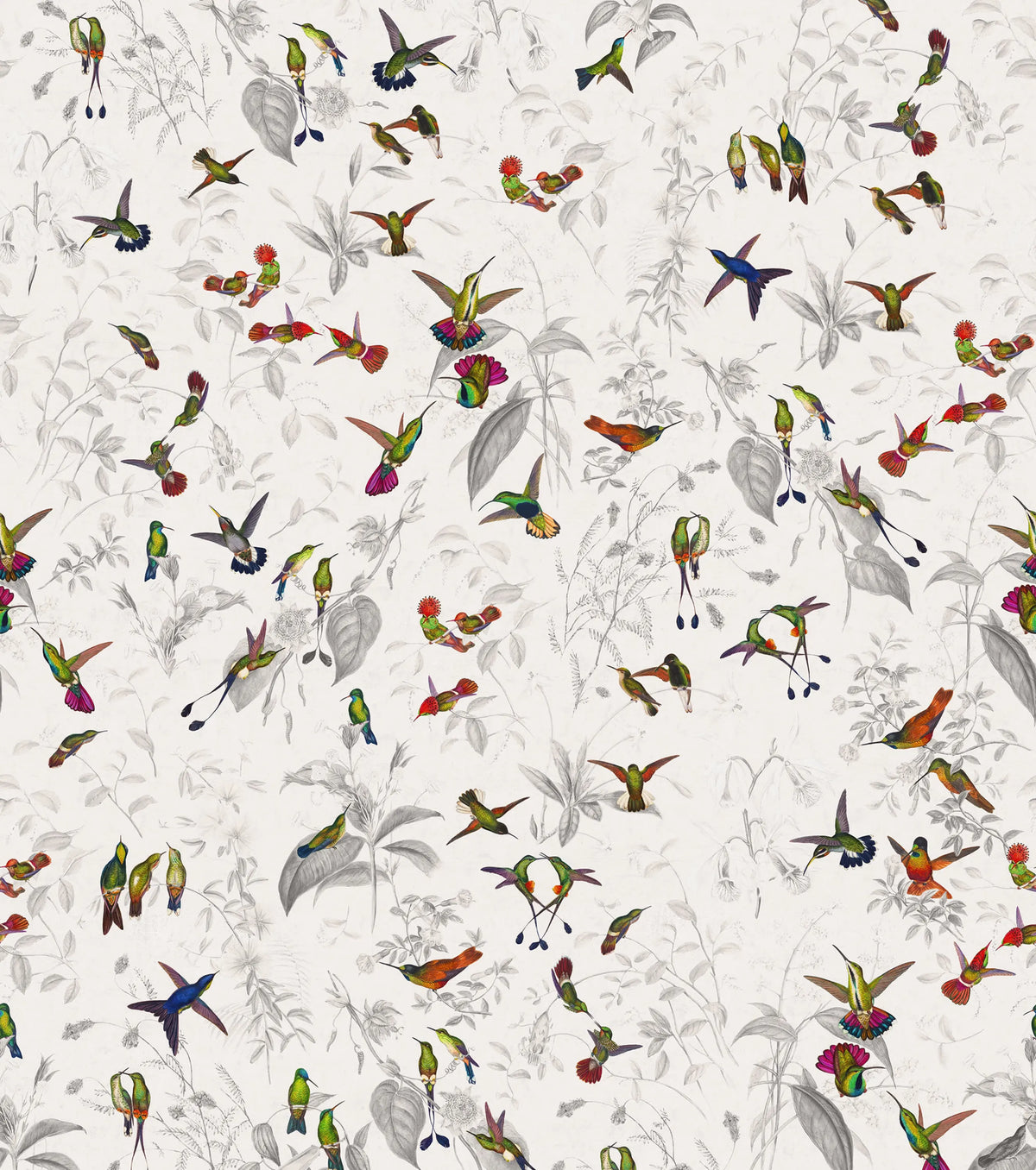 Hummingbird, Light Mural Wallpaper - pure wallpaper artwork