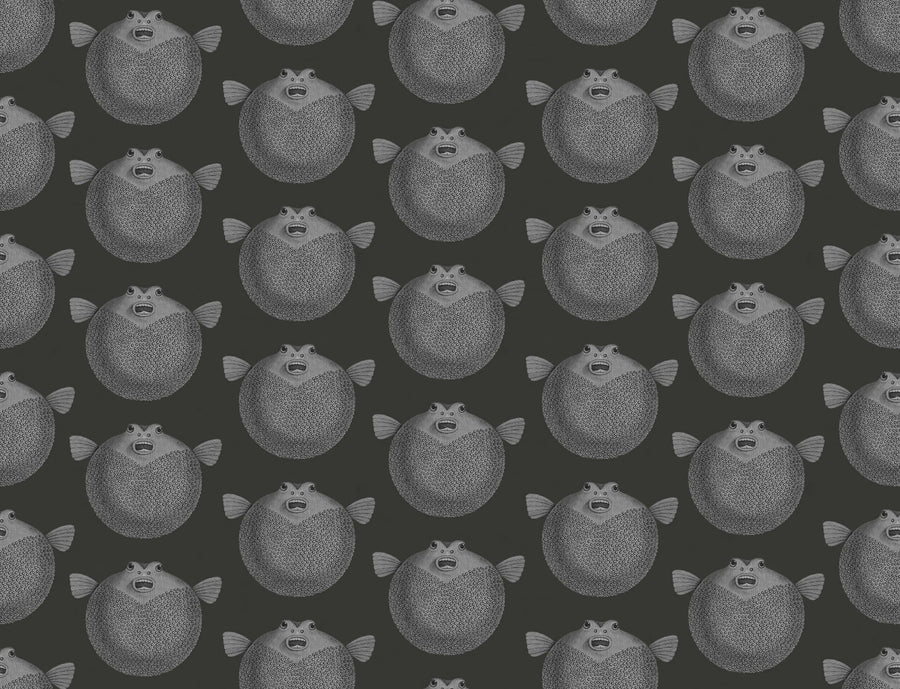 Puffer Fish, Black Mural Wallpaper