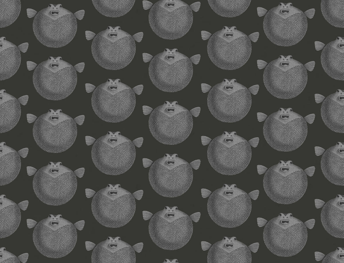 Puffer Fish, Black Mural Wallpaper - pure wallpaper artwork