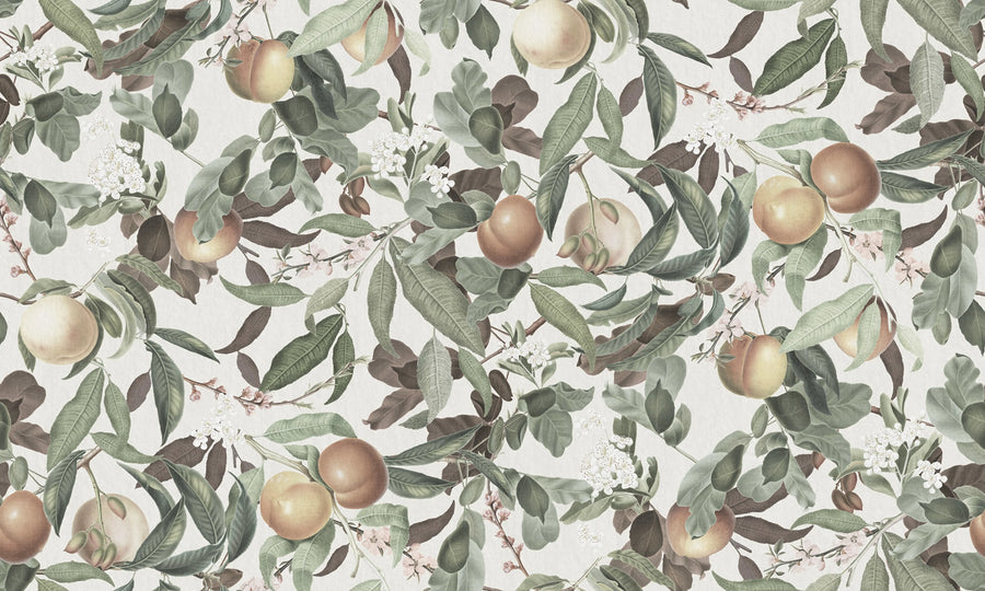 Peach Valley Bold, Spring Mural Wallpaper