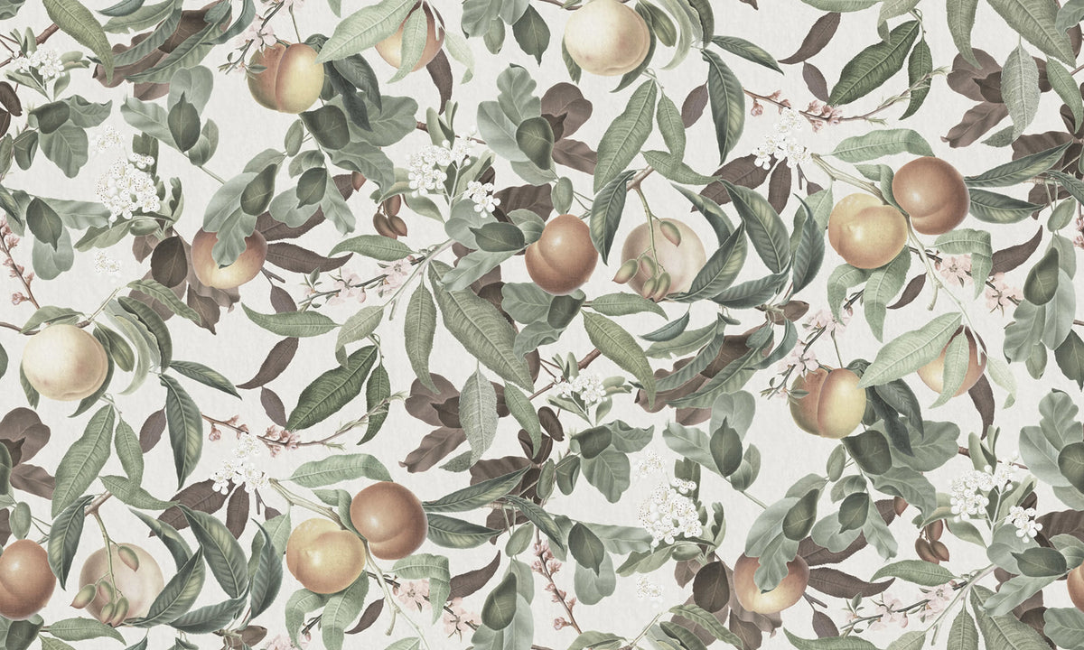 Peach Valley Bold, Spring Mural Wallpaper - pure wallpaper artwork