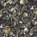 Peach Valley Bold, Midnight Mural Wallpaper - pure wallpaper artwork