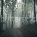 Forest in Fog Mural Wallpaper - pure wallpaper artwork