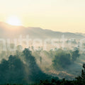 Morning Light Mural Wallpaper - pure wallpaper artwork