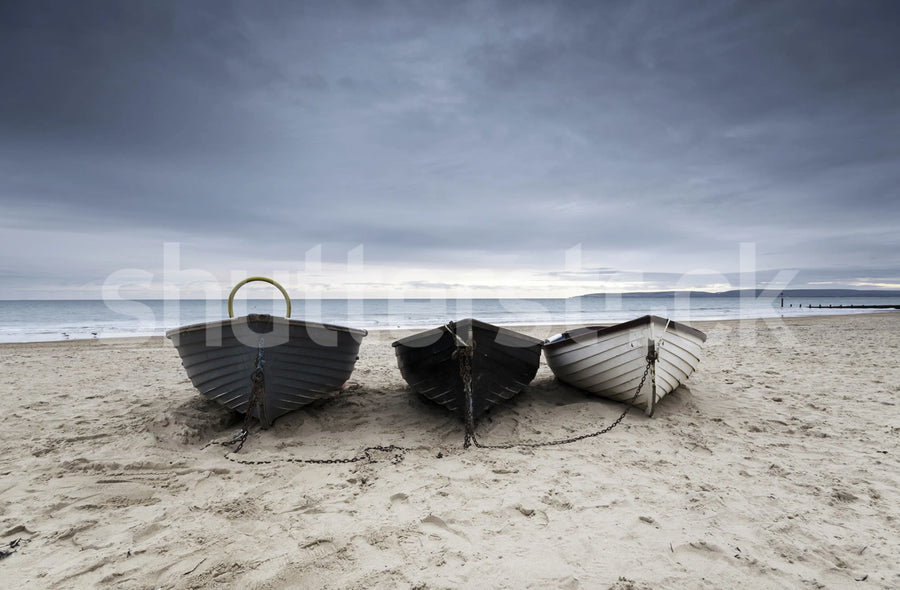 Boats in a Row Mural Wallpaper
