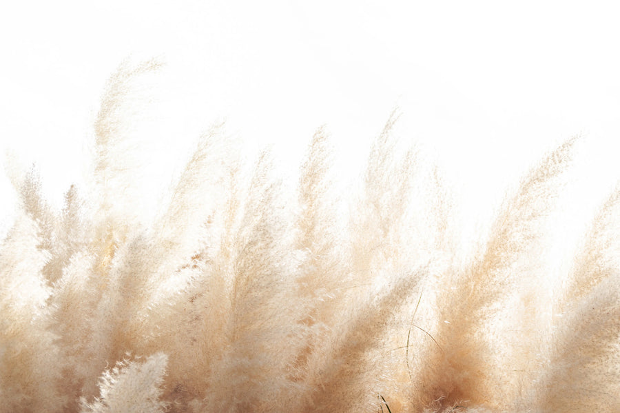 Soft Reed Mural Wallpaper