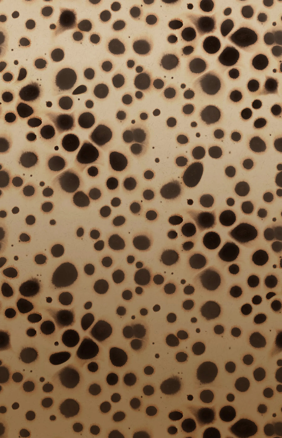 Spotted Puffer, Animal Mural Wallpaper