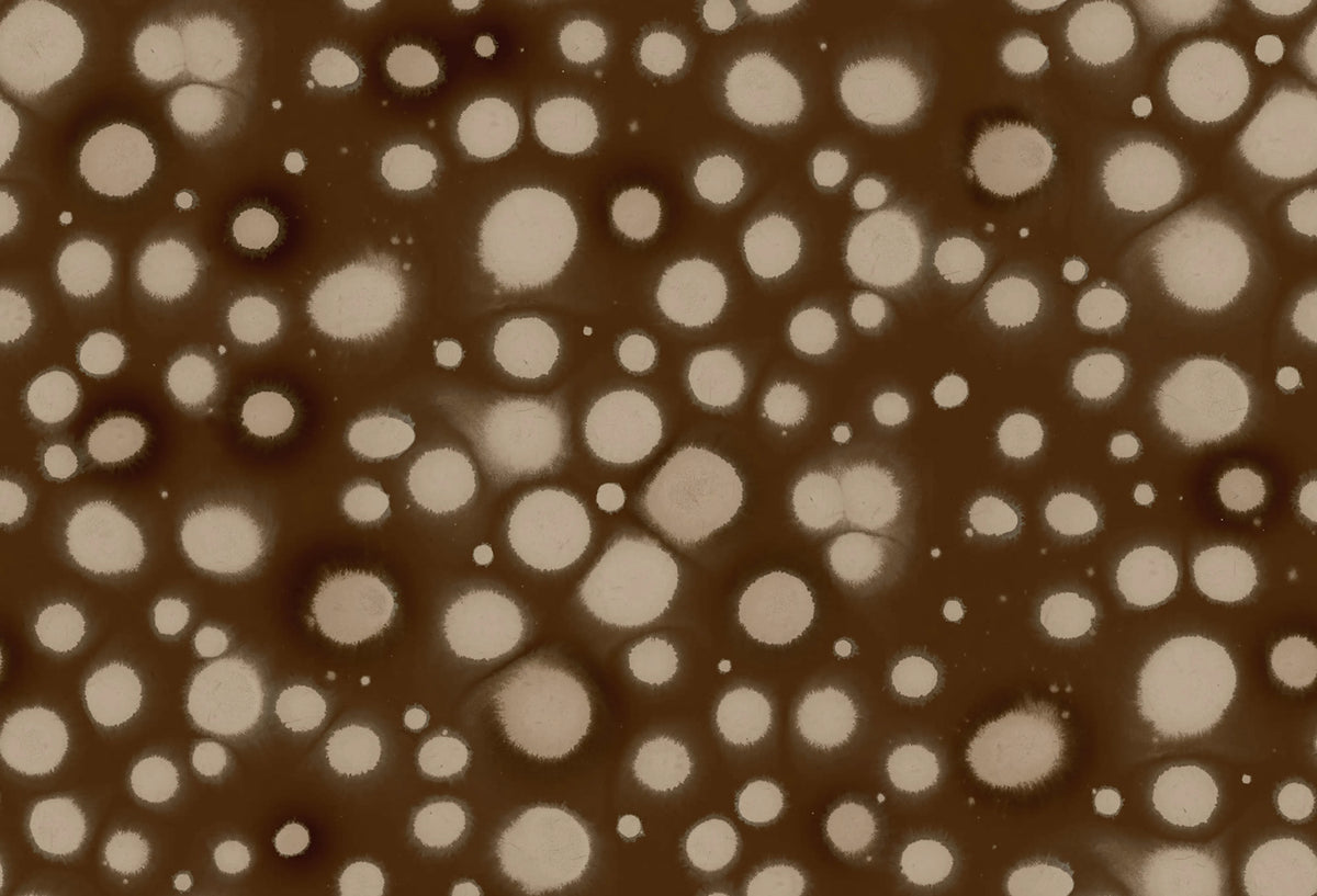 Spotted Puffer, Brown Mural Wallpaper - pure wallpaper artwork