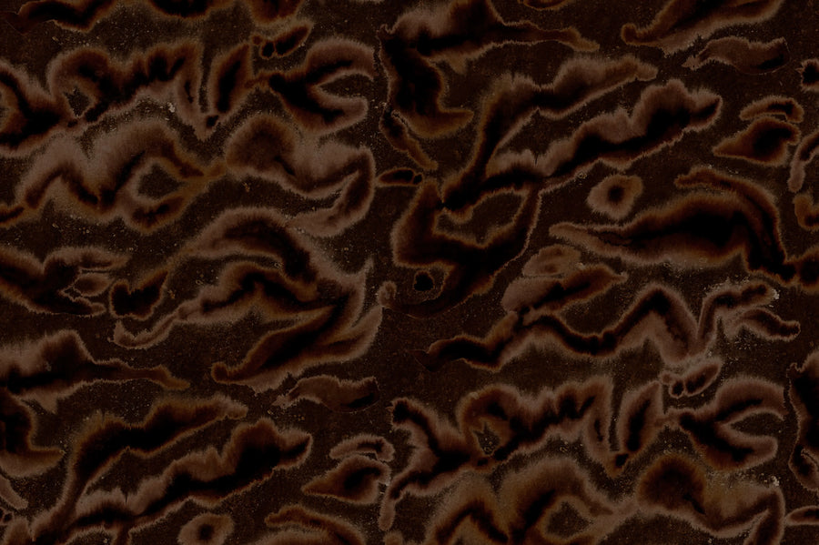 Guppy, Brown Mural Wallpaper