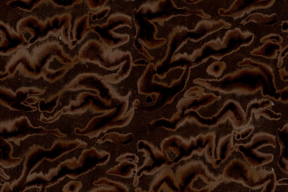 Guppy, Brown Mural Wallpaper - pure wallpaper artwork