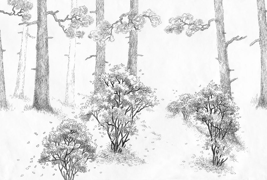 Forest Memories, Graphite Mural Wallpaper