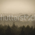 Soft Forest Mural Wallpaper - pure wallpaper artwork