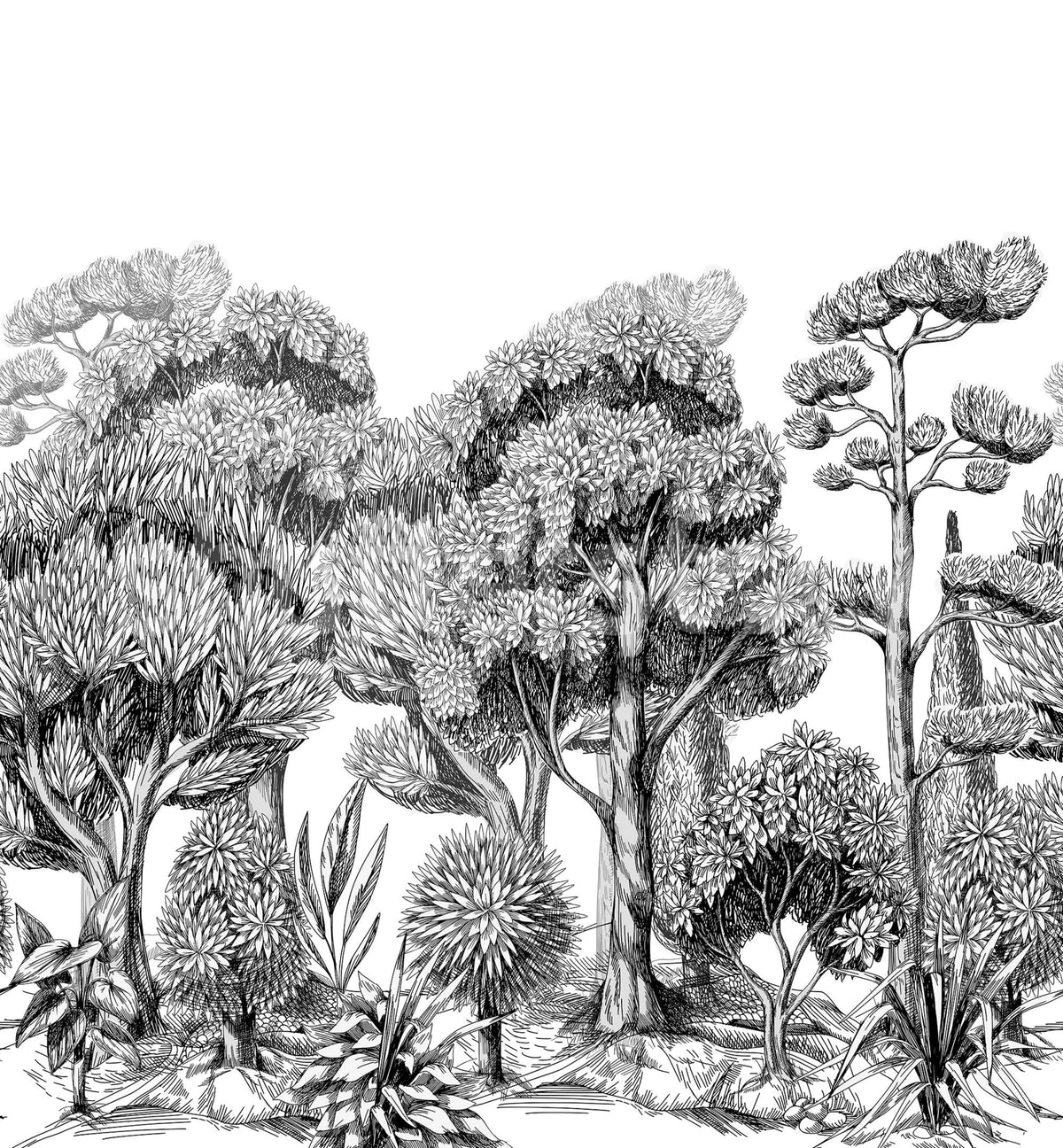 Forest Park, Graphite Mural Wallpaper - pure wallpaper artwork