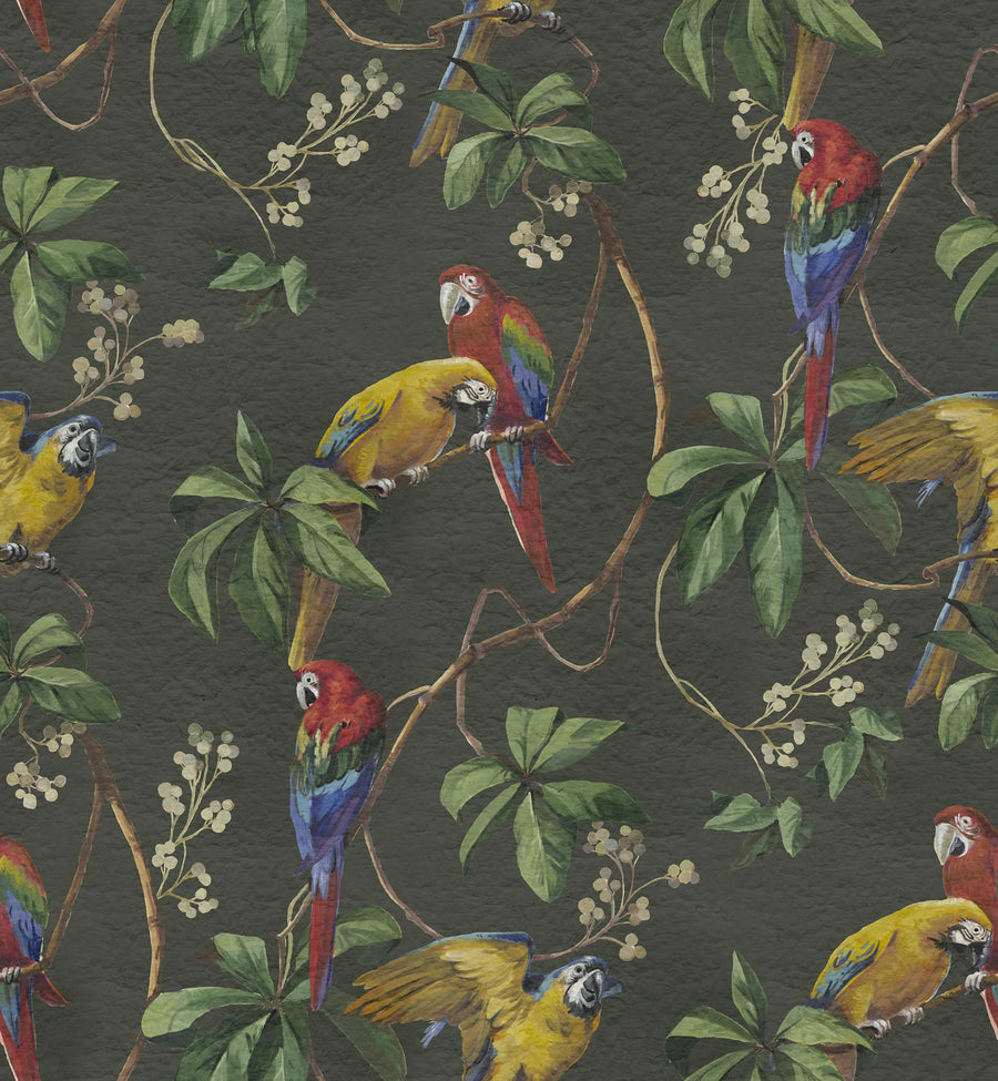 Parrots, Green Mural Wallpaper