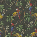 Parrots, Green Mural Wallpaper - pure wallpaper artwork