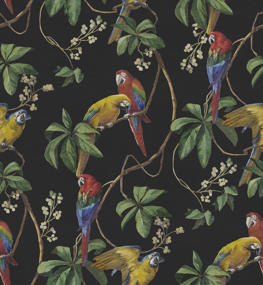 Parrots, Midnight Mural Wallpaper