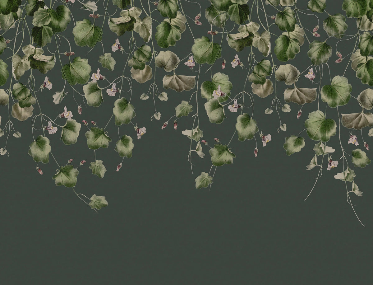 Dangling Ivy, Dark Mural Wallpaper - pure wallpaper artwork