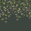 Dangling Ivy, Dark Mural Wallpaper - pure wallpaper artwork
