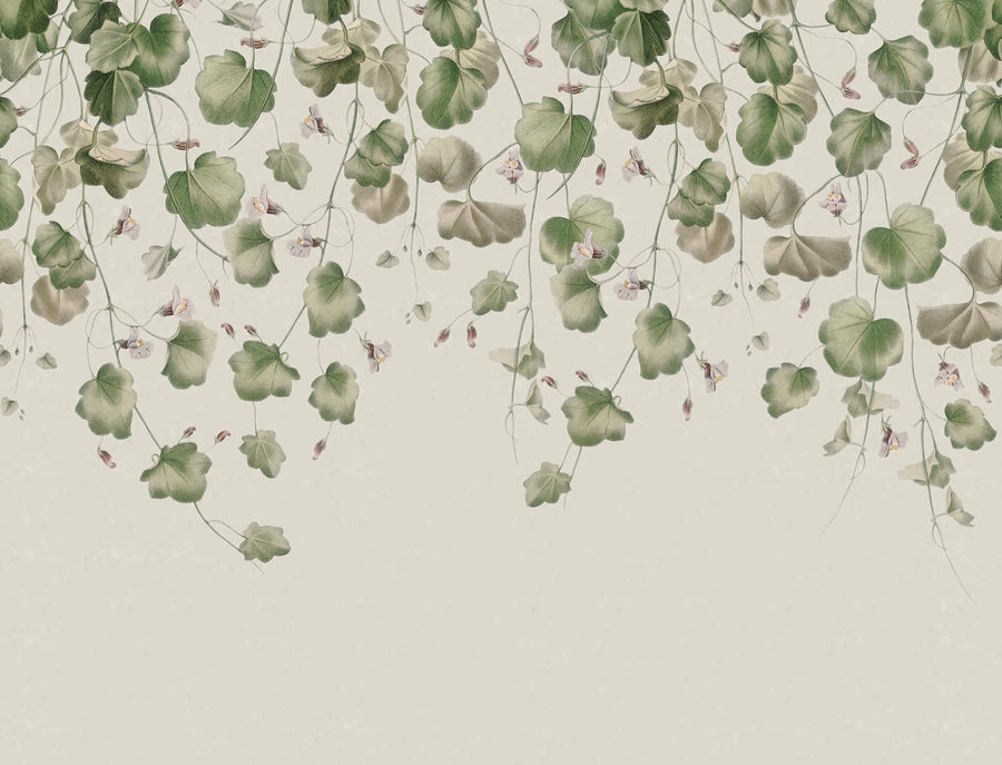 Dangling Ivy, Soft Mural Wallpaper