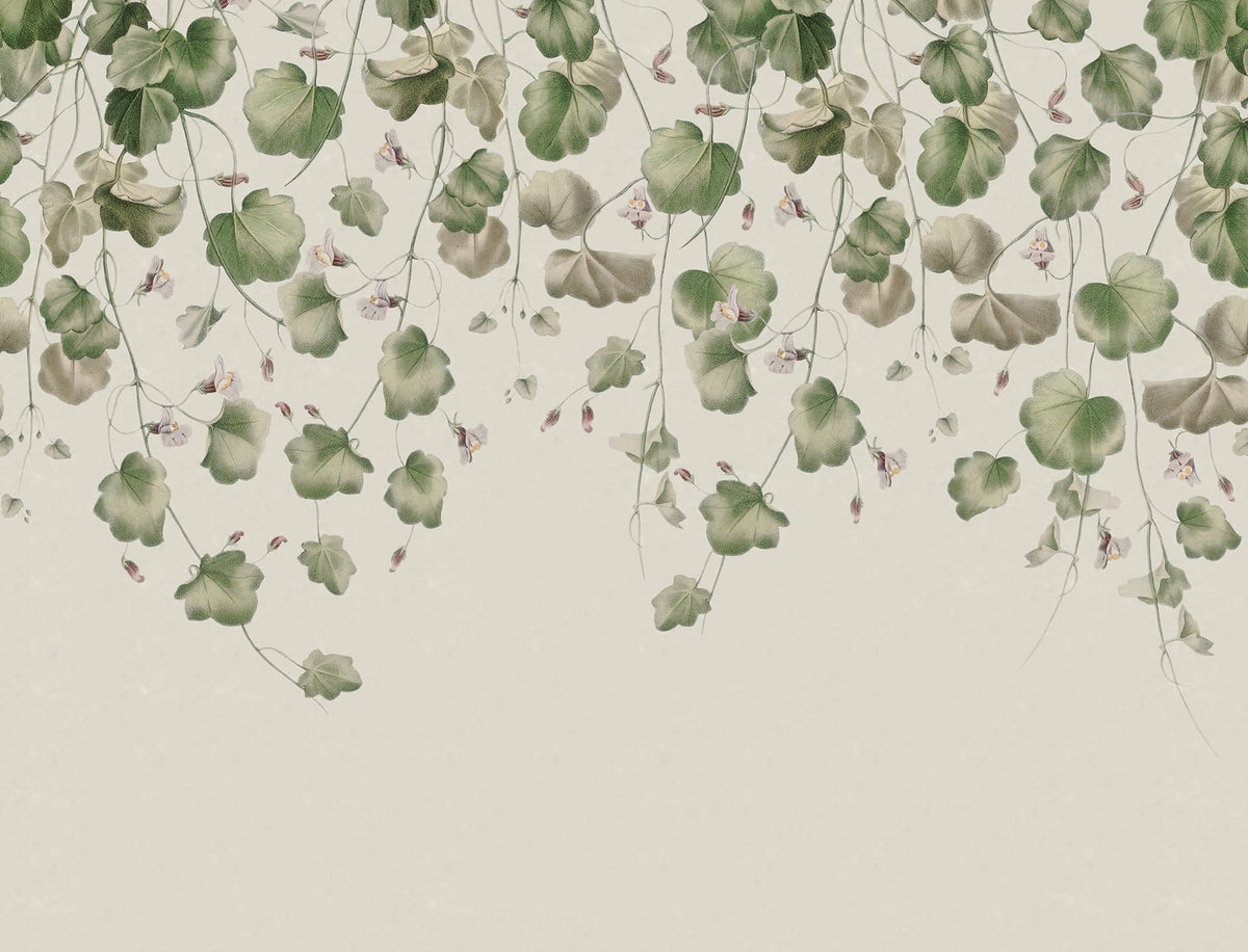 Dangling Ivy, Soft Mural Wallpaper - pure wallpaper artwork