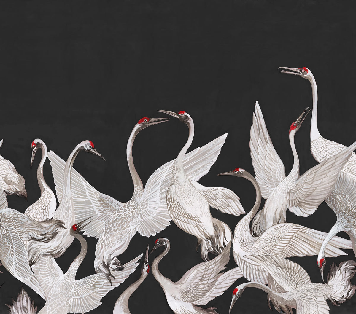 Soaring Cranes, Black Mural Wallpaper - pure wallpaper artwork