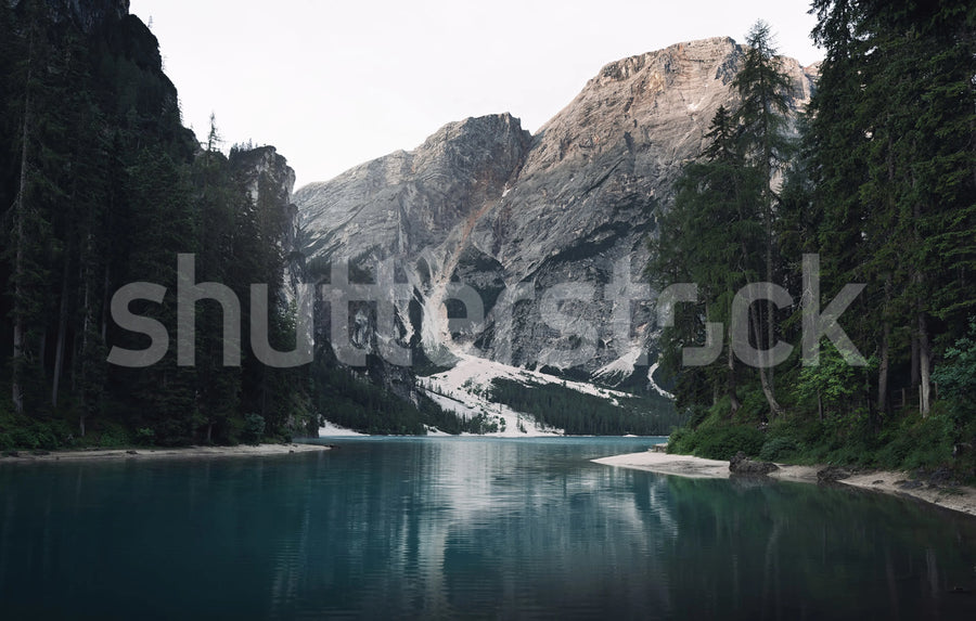 The Valley, Gray Mural Wallpaper