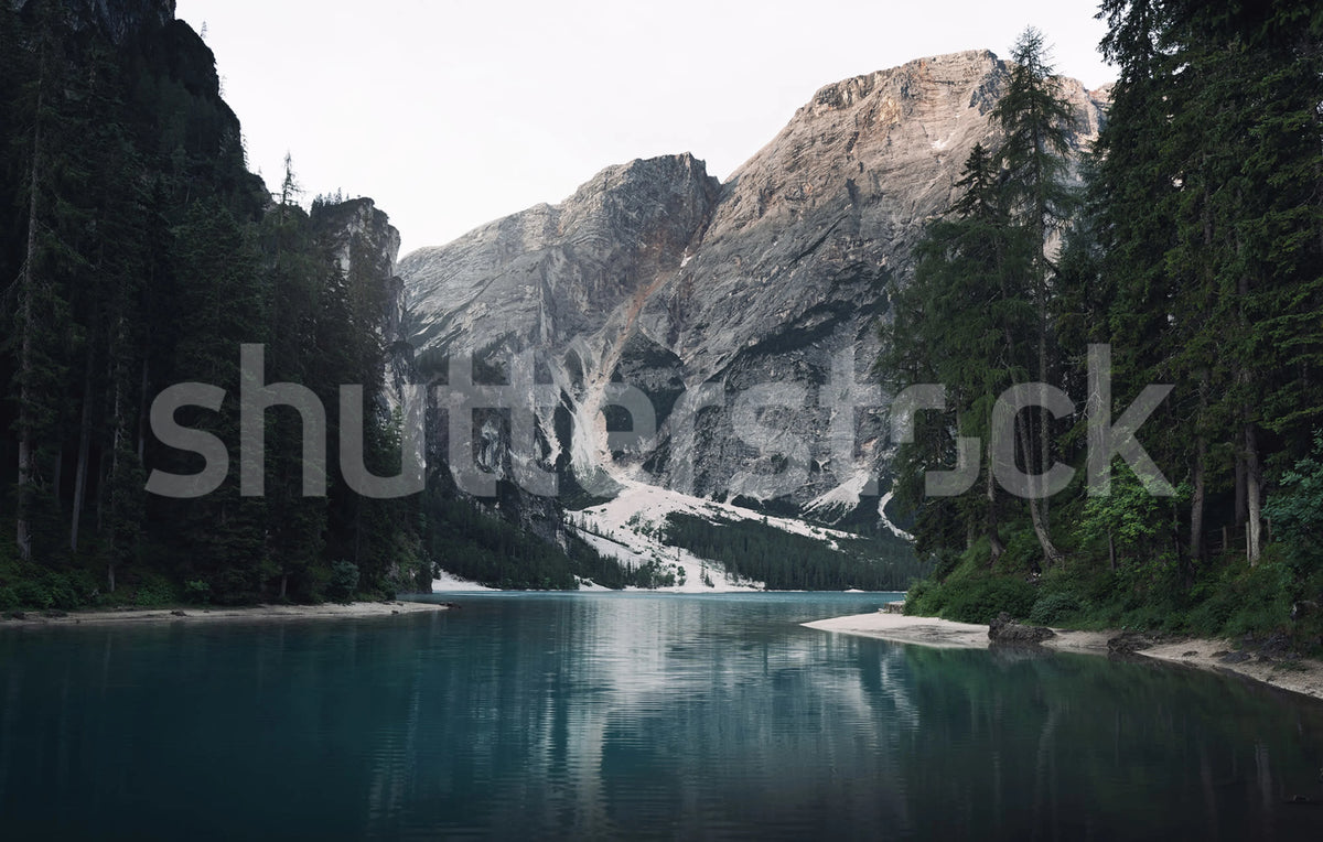 The Valley, Gray Mural Wallpaper - pure wallpaper artwork