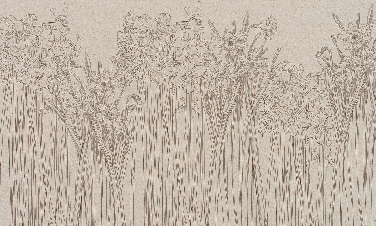 Daffodil, Beige Mural Wallpaper - pure wallpaper artwork