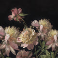 Vintage Peony, Pink Mural Wallpaper - pure wallpaper artwork