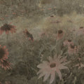 Dreamy Rudbeckia, Pink Mural Wallpaper - pure wallpaper artwork