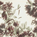 Blurry Honeysuckle, Green Mural Wallpaper - pure wallpaper artwork