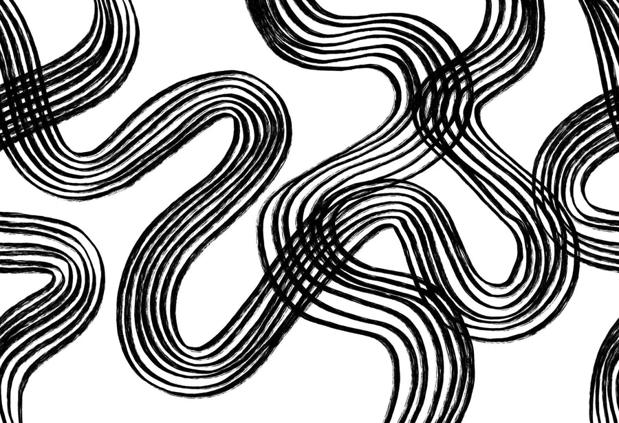 Ink Stripes, Black & White Mural Wallpaper
