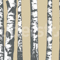 Birch Grove, Beige Mural Wallpaper - pure wallpaper artwork
