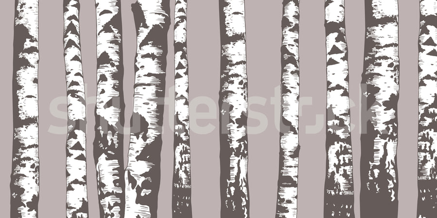Birch Grove, Gray Mural Wallpaper