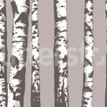 Birch Grove, Gray Mural Wallpaper - pure wallpaper artwork