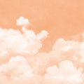 Cuddle Clouds, Peach Fuzz Mural Wallpaper - pure wallpaper artwork