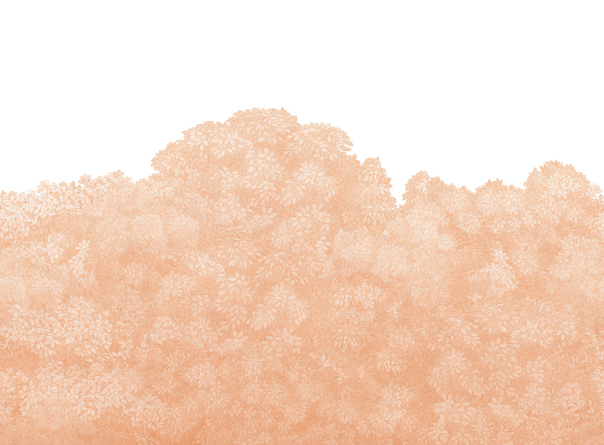 Belle Buisson, Peach Fuzz Mural Wallpaper - pure wallpaper artwork