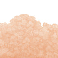 Belle Buisson, Peach Fuzz Mural Wallpaper - pure wallpaper artwork